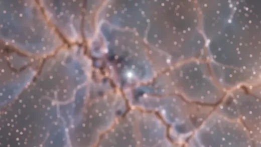 What is the star type with the highest density — astronomy photograph