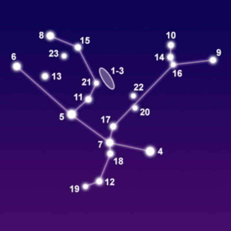 How many stars does the Andromeda constellation contain?