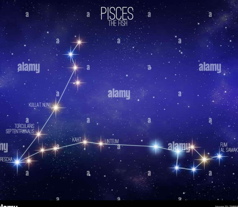 The fish constellation and its included stars