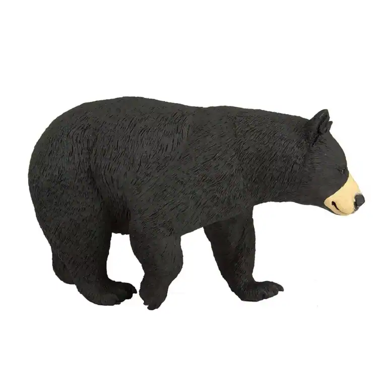 What an incredible creature the bear is