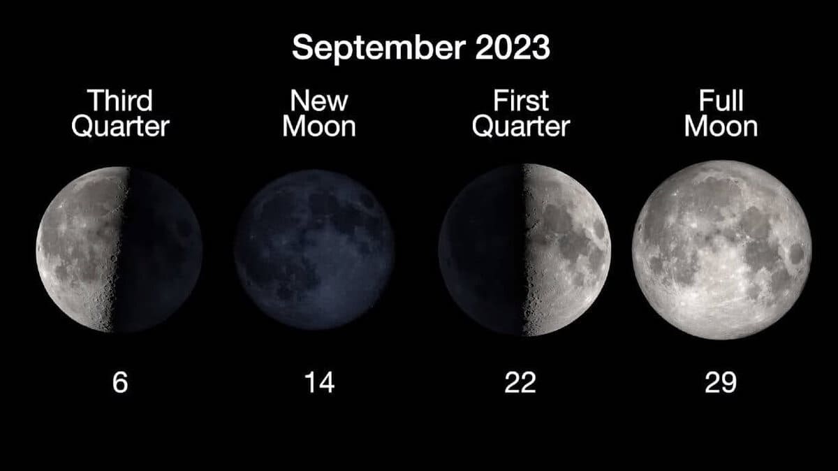 What is the current lunar month?