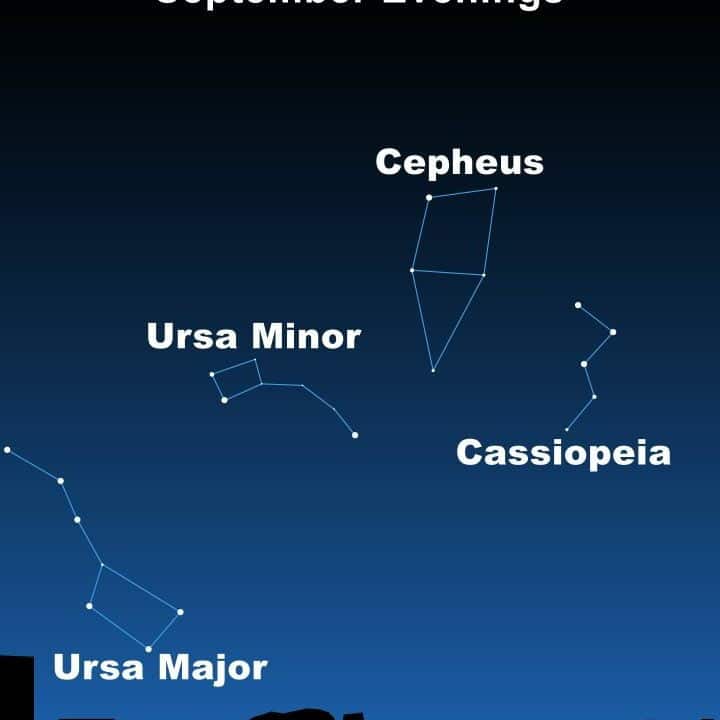 What is the appearance of a cepheus star?