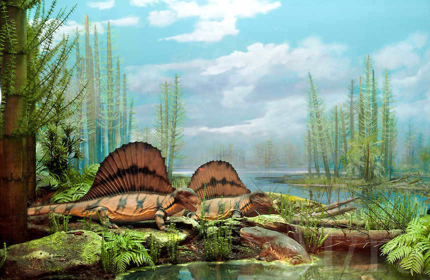 Geologic periods of the earth - from the fiery planet to the abode of life