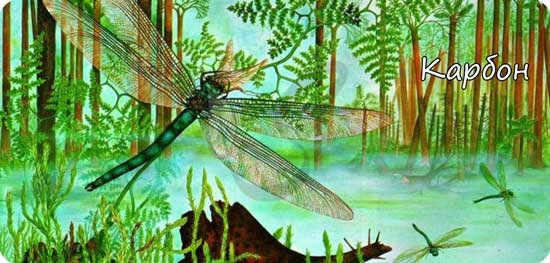 Carboniferous