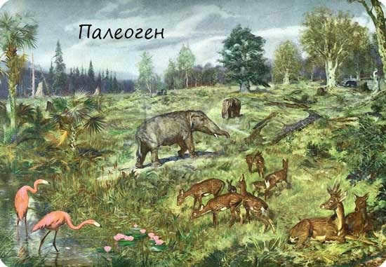 Paleogene