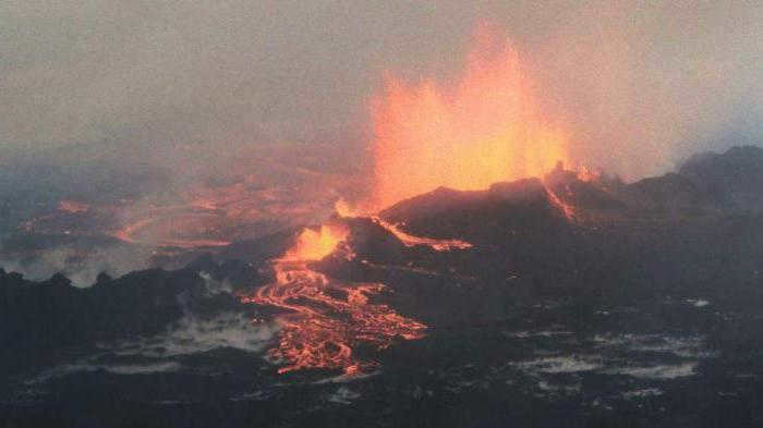 periods of development of life on earth