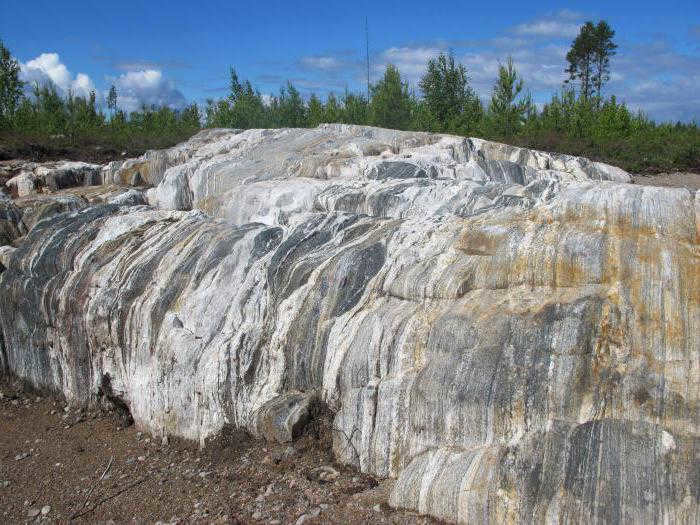 history of life on earth