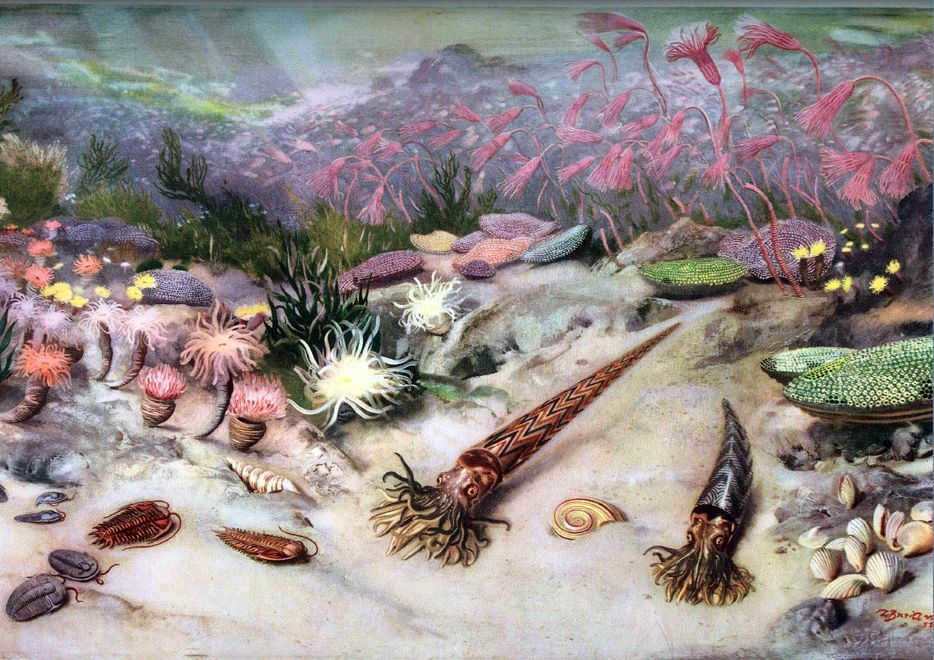 Geologic periods of the earth - from the fiery planet to the abode of life
