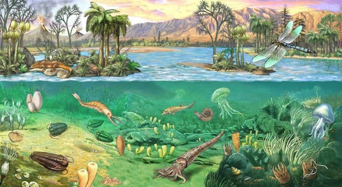 Paleozoic Era