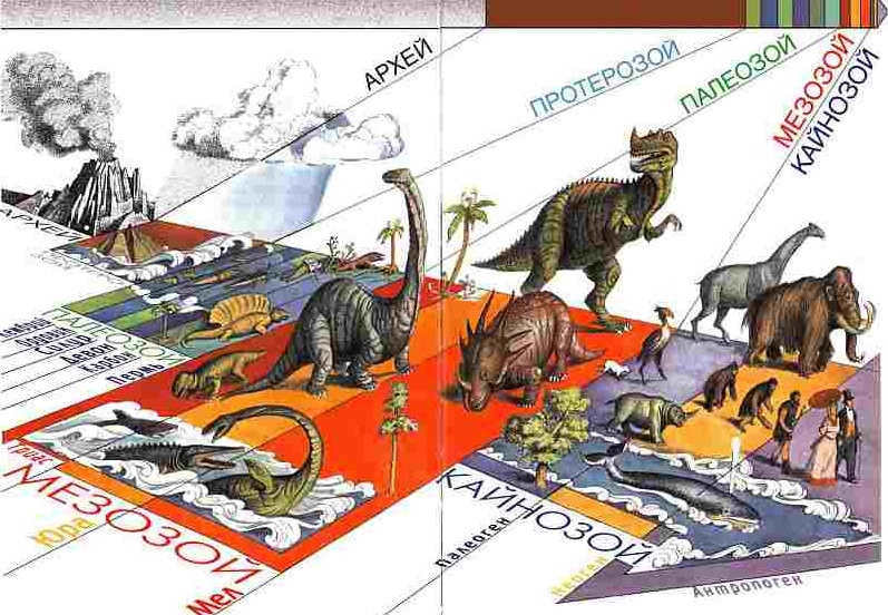 Era and periods in life on Earth