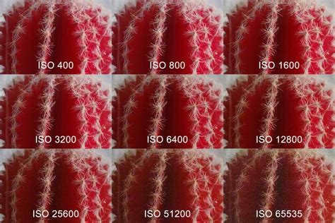 What ISO should I set in the sun?