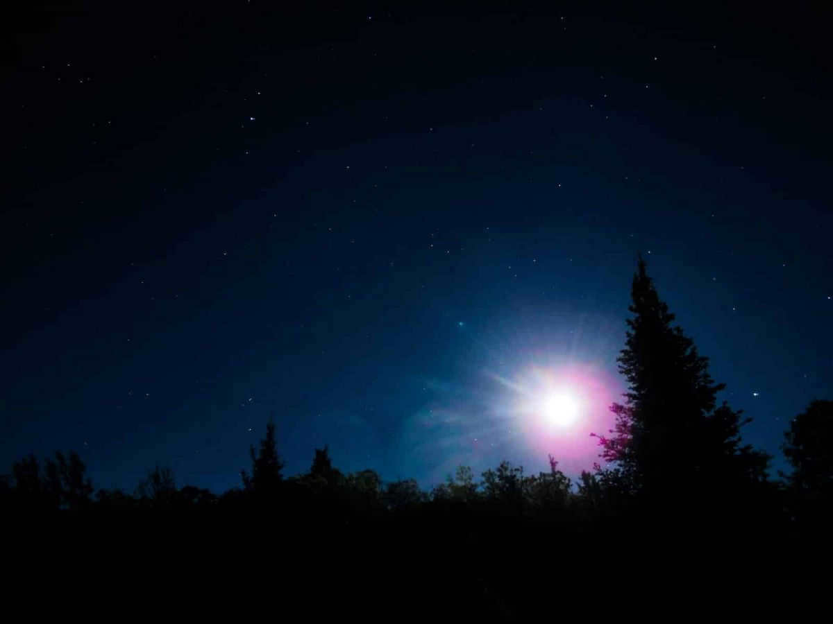 Altair is the Galaxy's most unusual inhabitant