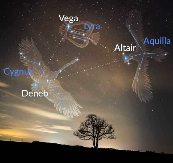 Eagle constellation: where it is located, description of stars, mythology, features
