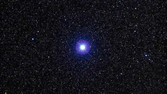 Altair star in the constellation