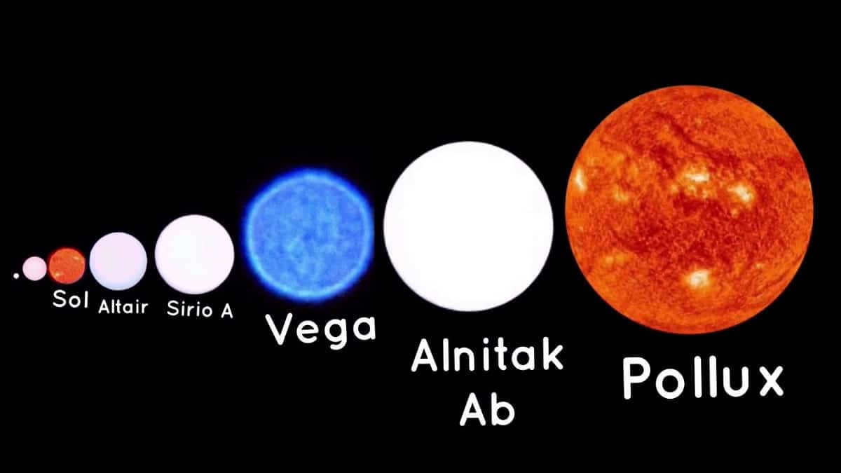 some stars bigger than the sun