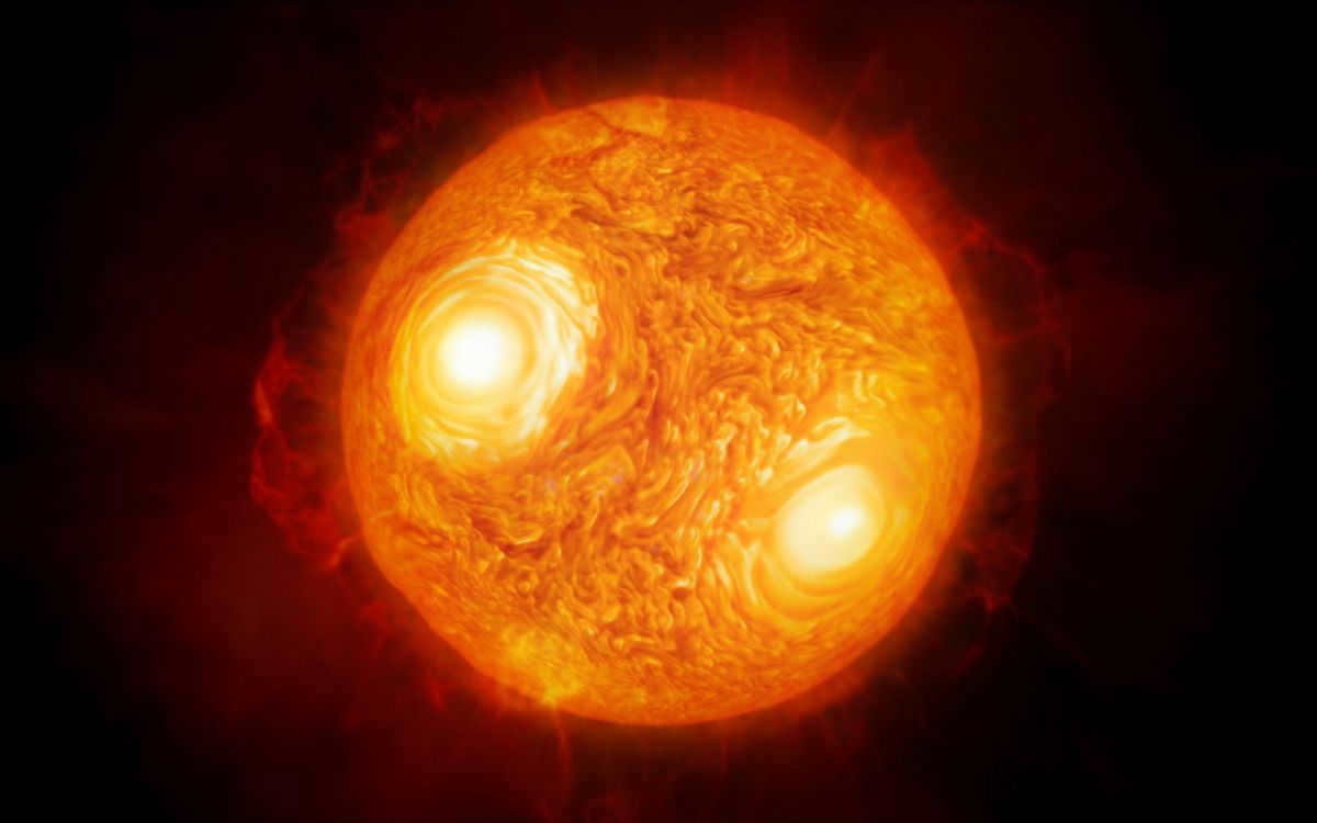 A selection of the largest stars in our galaxy.