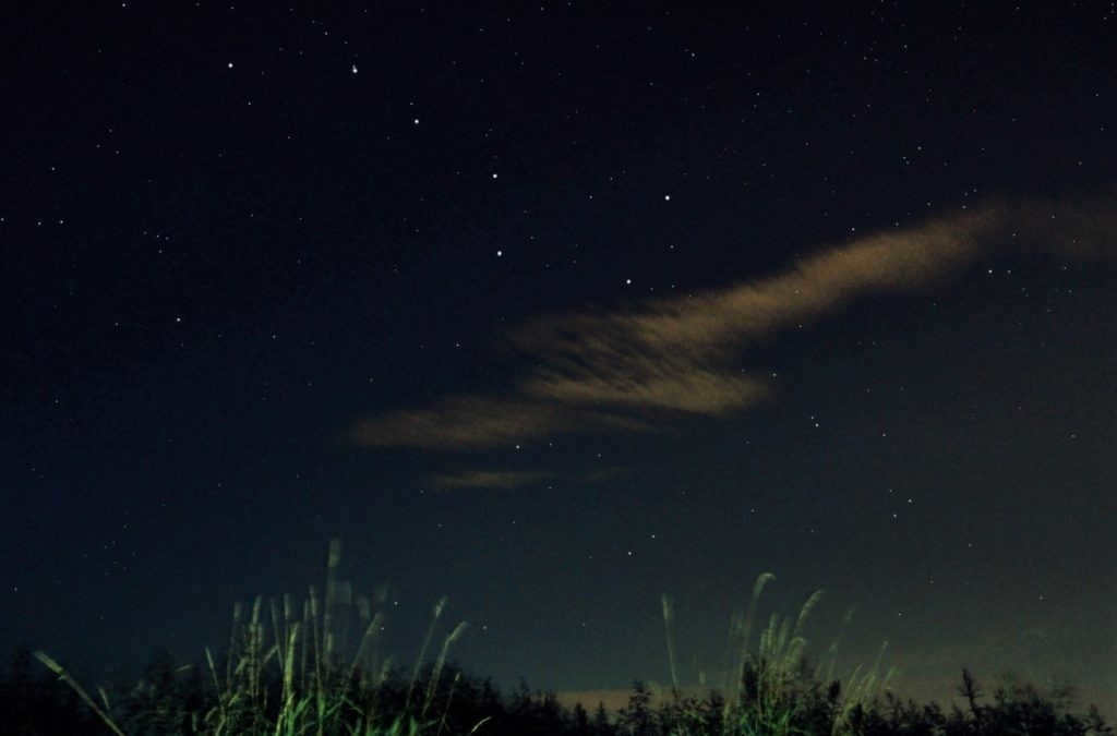 Picture of the Big Dipper in the night sky