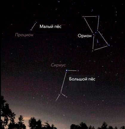 Big Dog constellation: where it is located, description of the main stars, interesting facts
