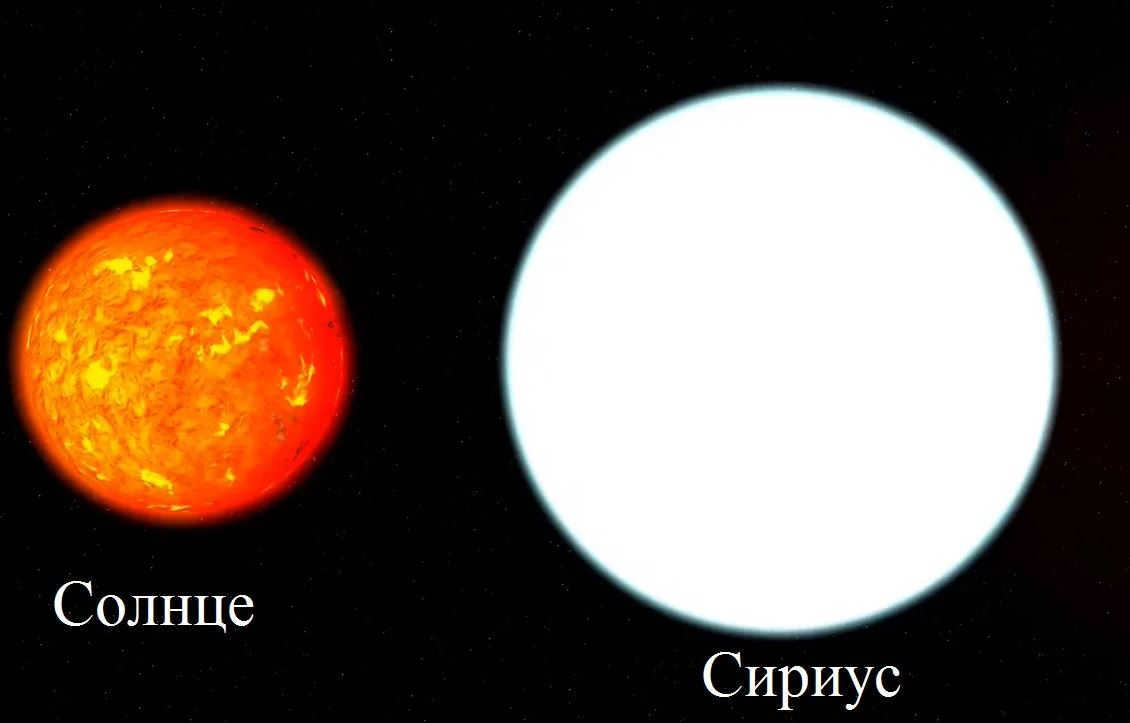 Big Dog constellation: where it is located, description of the main stars, interesting facts