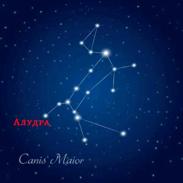Big Dog constellation: where it is located, description of the main stars, interesting facts