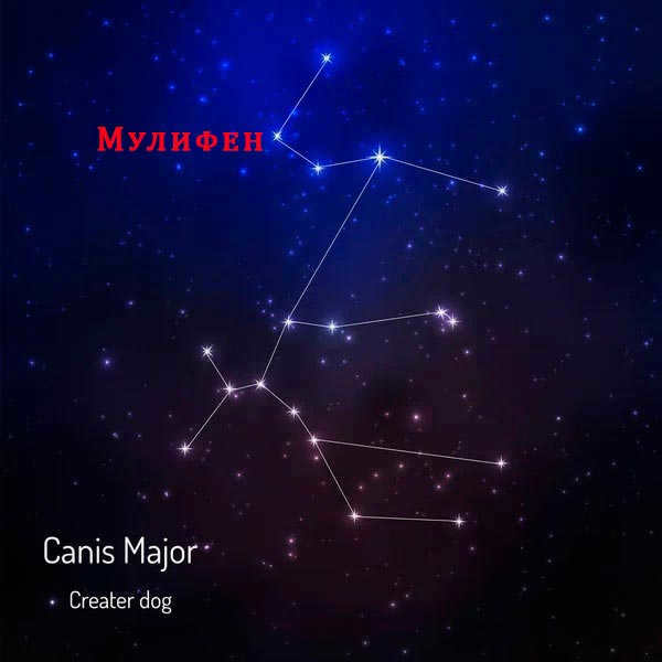 Big Dog constellation: where it is located, description of the main stars, interesting facts