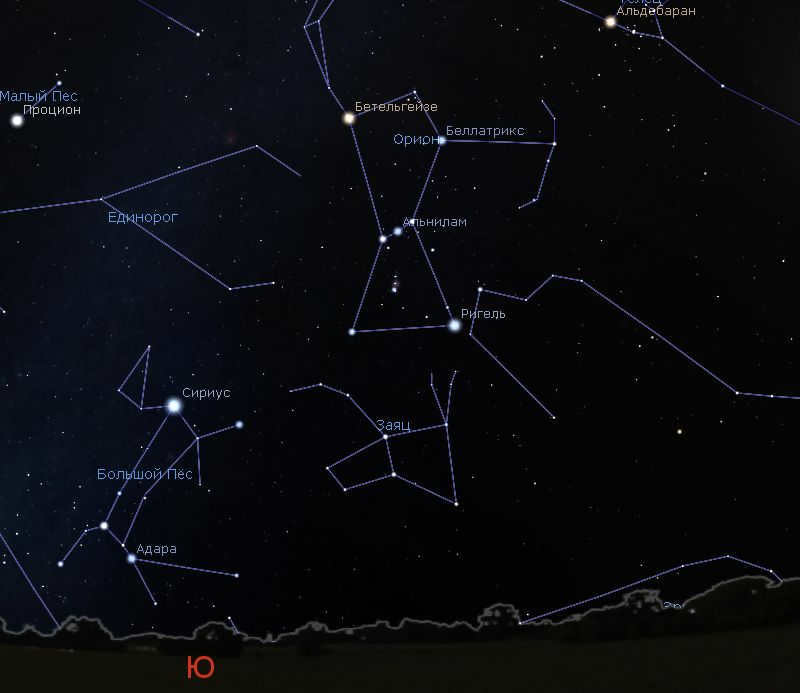 The constellation Big Dog in the sky.