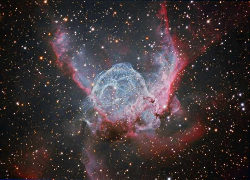 Big Dog constellation: where it is located, description of main stars, interesting facts