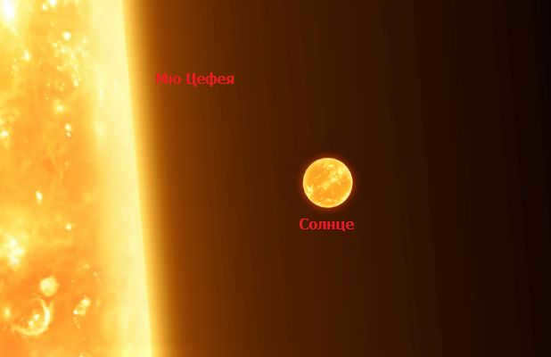 Mu Cepheus and the Sun