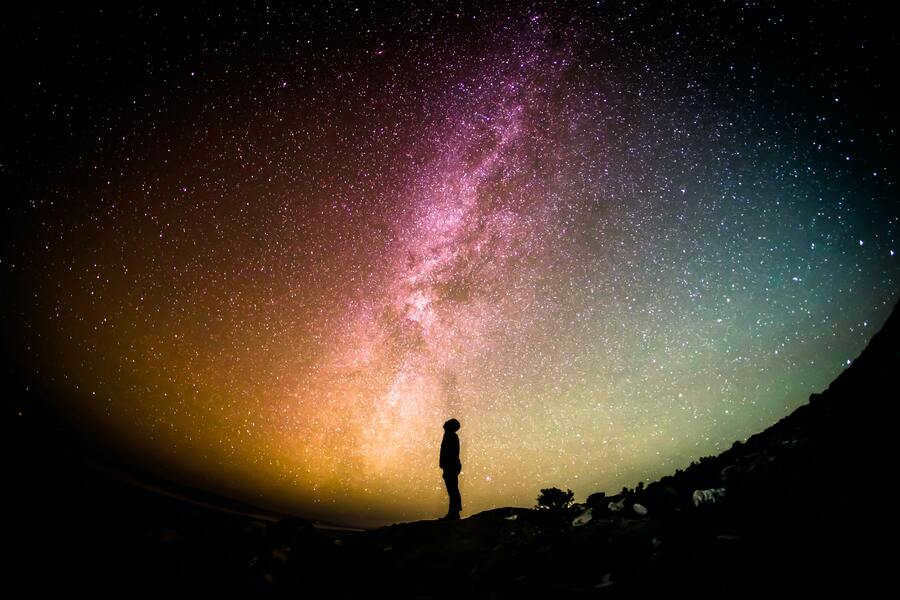 What are the zodiacal constellations?