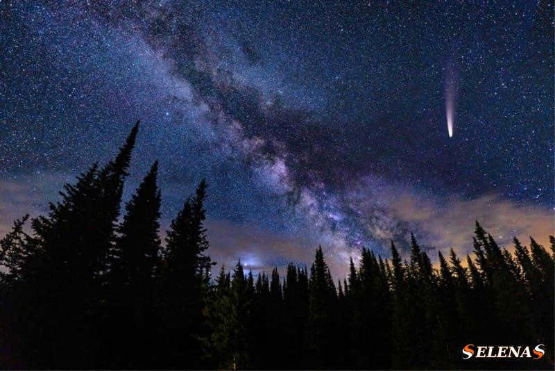 Comet over the forest at night