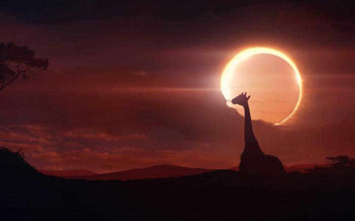 what is a total solar eclipse