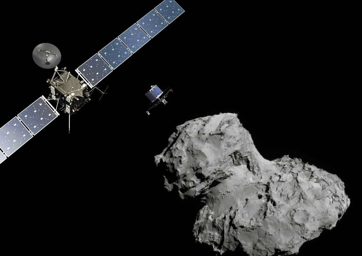 The main asteroid belt: history of discoveries, origin versions, object composition