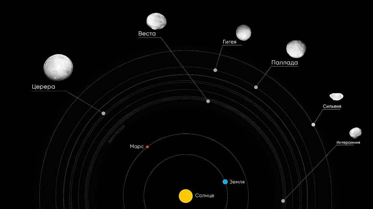 Main asteroid belt: history of discoveries, versions of origin, composition of objects