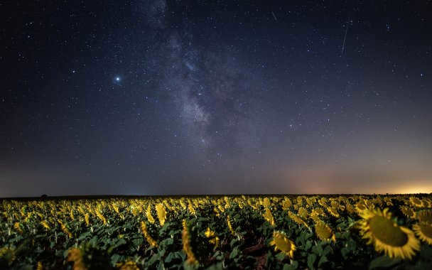 Photo by Marcos del Mazo / LightRocket via Getty Images