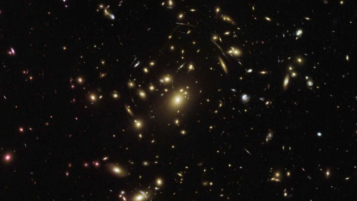 Cluster