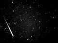 Image of Perseids meteor shower meteor obtained on August 14, 2006.