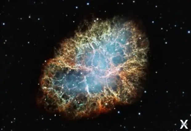 The Crab Nebula, which remains. 