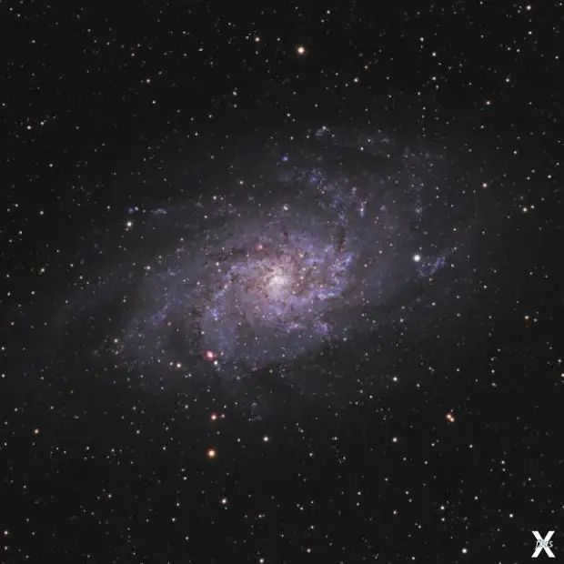 Chemists of the Universe. Why dying stars are called supernovae