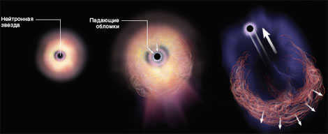 THE REACTIVE EFFECT OF A SUPERNOVA.