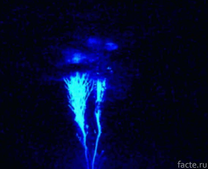 Blue jets