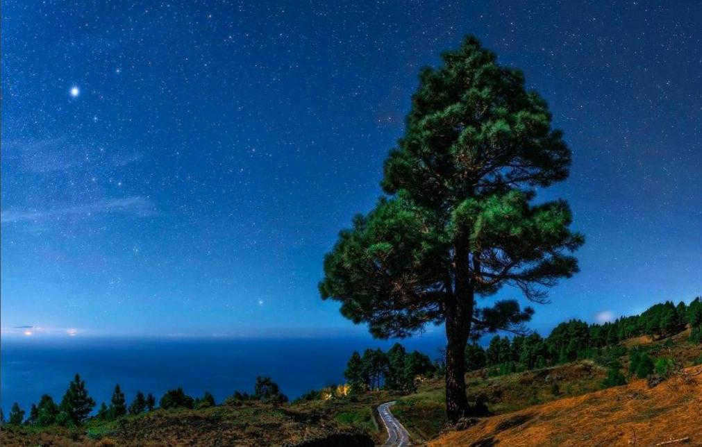 Sirius is a star in the constellation of the big dog