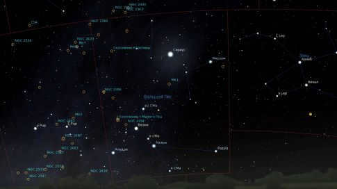 Constellation Big Dog