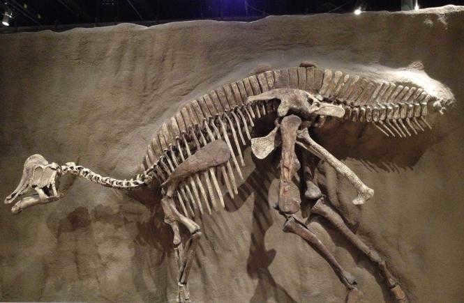 when dinosaurs became extinct