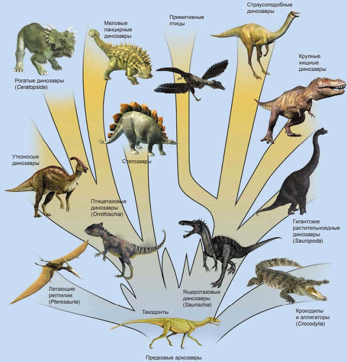 Vertebrate evolution in the Triassic and Cretaceous periods