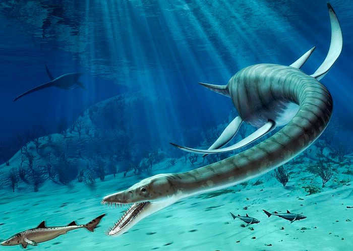 Elasmosaurus