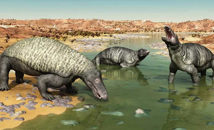 Jonkeria