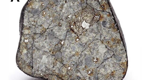 A section of a fragment of the Chelyabinsk space body with fusion veins, archive photo