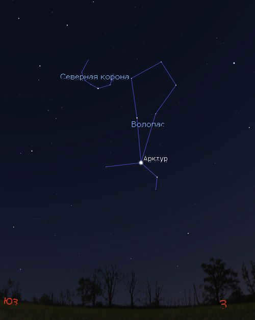 constellation of Volopassus