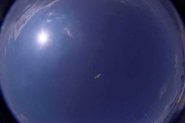 Earth Atmosphere