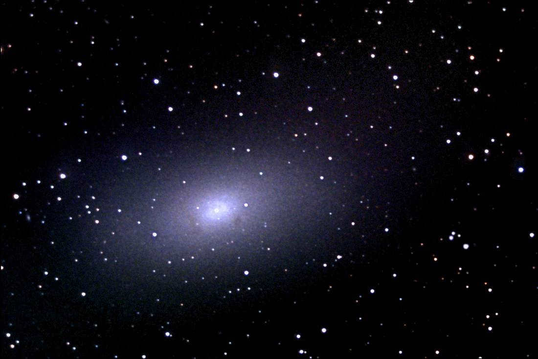 NGC224 companion of the Andromeda galaxy
